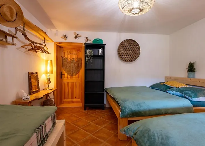 Spaní Na Včelách Alloggio in famiglia Hostim